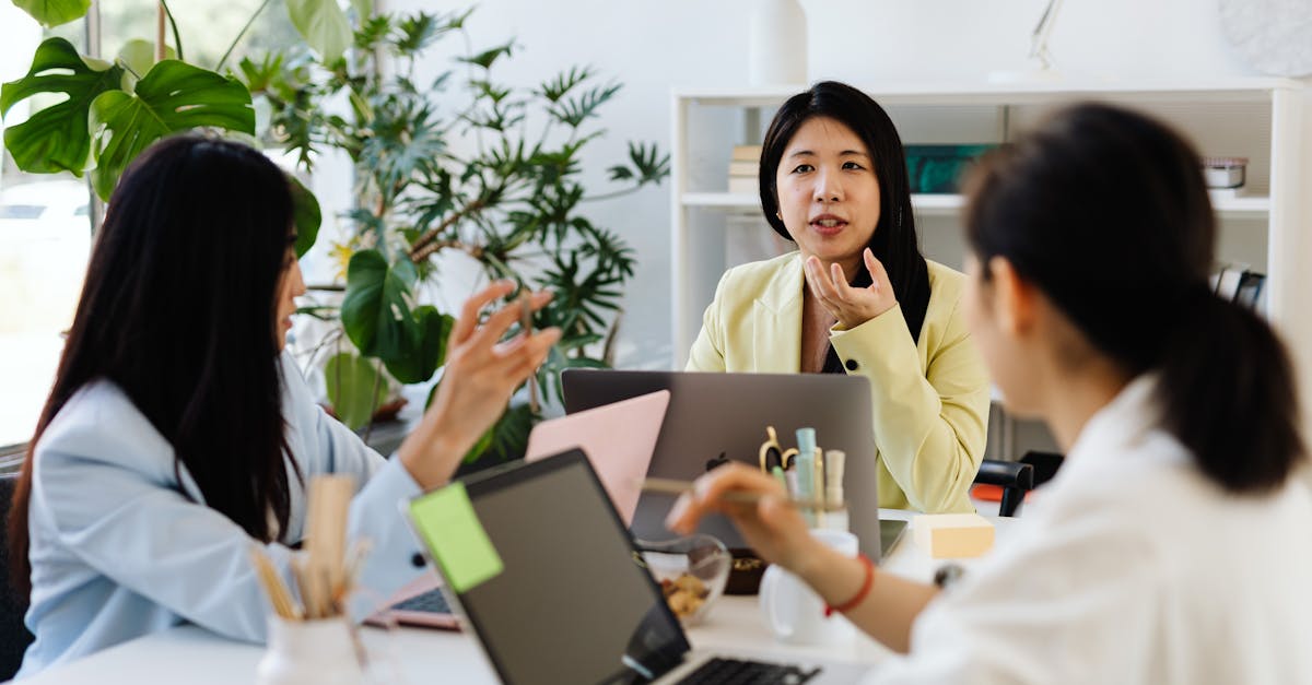 方盒欧盟扁白555:萧山执照注册代理中介